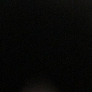 Meet your Posher, Bailey